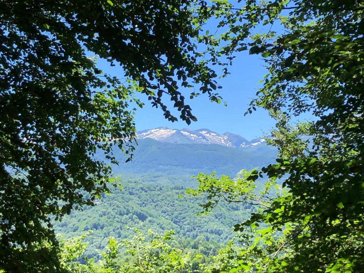Готель Fenetre Sur Les Pyrenees Soulan  Екстер'єр фото